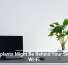 Houseplants Might Be Behind Your Sluggish Wi-Fi
