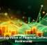The Lasting Value of Financial Software for Businesses